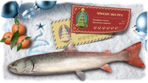 РУССКАЯ РЫБАЛКА 4 - Последнее новогоднее задание 2024 / Таймень на Белой / Стрим 4