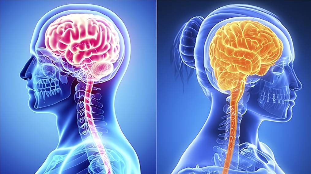 Тайны антропологии - Олга Лойд | Диалог цивилизаций