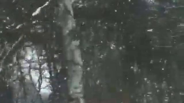 Дед Мороз Кишинев, Mos Craciun Chisinau - dedmoroz.md реальный смотреть онлайн