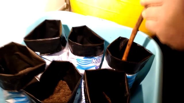 Проращивание чубуков винограда (часть 3) смотреть онлайн