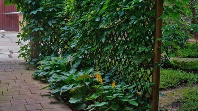 ❖ Лесной сад ❖ - Ландшафтный дизайн смотреть онлайн