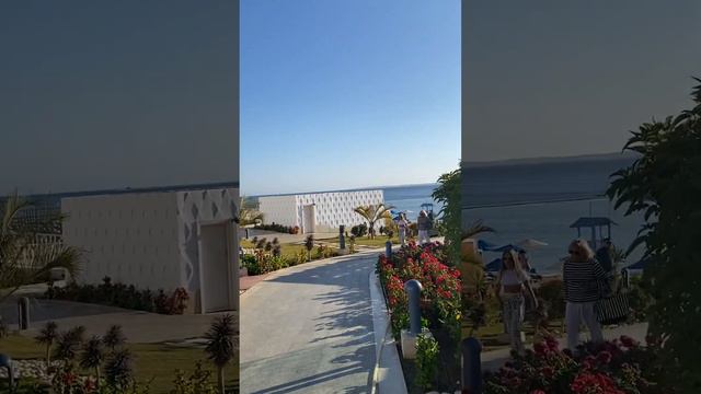 Альбатрос Палас Шарм Эль Шейх Albatros Palace Sharm El Sheikh полный обзор отеля hotel inspection смотреть онлайн