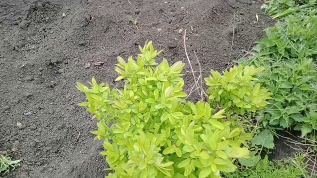 Работа на участке продолжается.