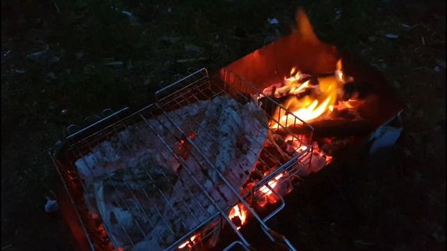 Шоу Акробатов и Аэробатики