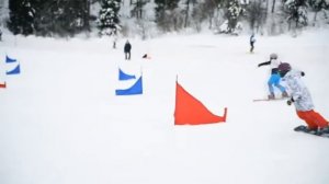 Видеокарточки Домана. Виды спорта.