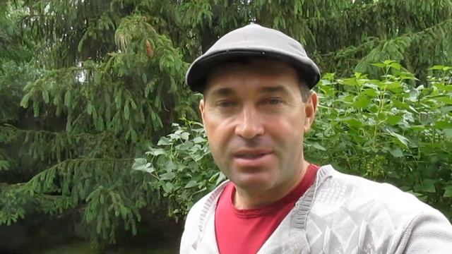 ОБНОВЛЕНИЕ СМОРОДИНЫ И КРЫЖОВНИК НА ШПАЛЕРЕ. смотреть онлайн