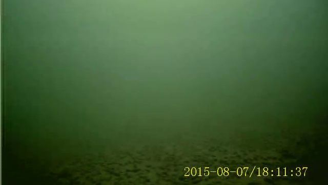 р ока, матросики позируют сенсор сони 225 смотреть онлайн