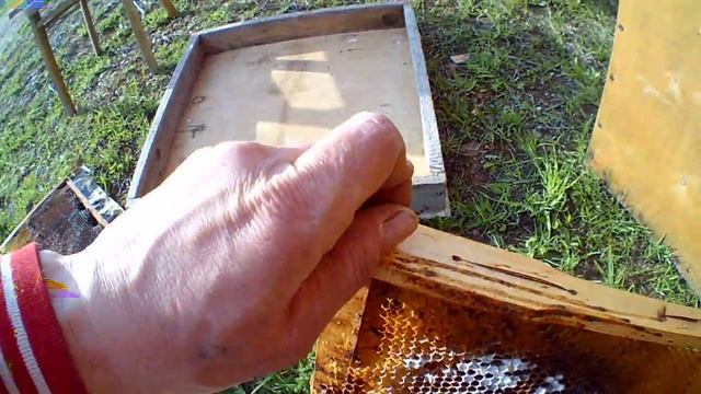 Ловушка для пчел | отпуск, дача смотреть онлайн