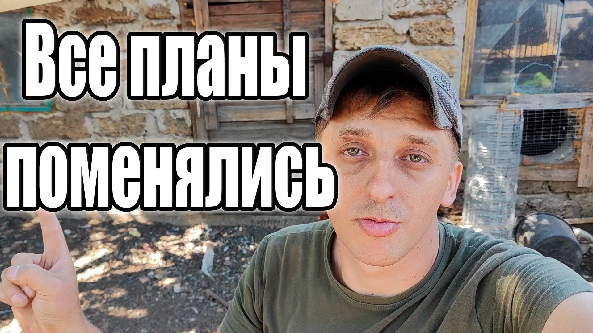 Меняем проект птичника на ходу! Сорвался и купил поросят смотреть онлайн