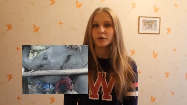 ЦИРК-ИЛЛЮЗИЯ ЛЮБВИ смотреть онлайн