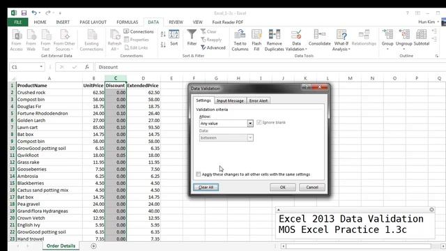 MOS Excel 2013 Practice 1.3c смотреть онлайн