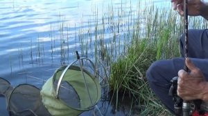 38. Ловля на матч проста и добычлива! // Рыбацкие рассказы Евгения Середы //