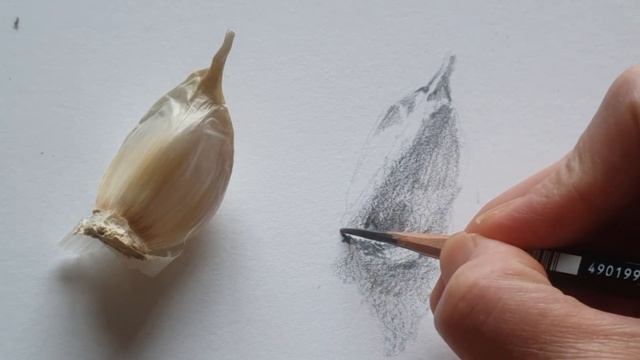 A garlic pencil drawing, Simple way to draw a garlic, Detailed Guide смотреть онлайн