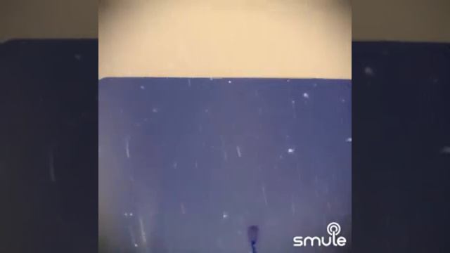 ПОЙТЕ СО МНОЙ. В ГОРНИЦЕ МОЕЙ СВЕТЛО. смотреть онлайн