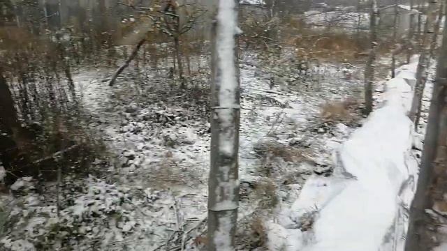 Випав перший сніг,половину виноградника вкрито-20.11.2023 рік. смотреть онлайн