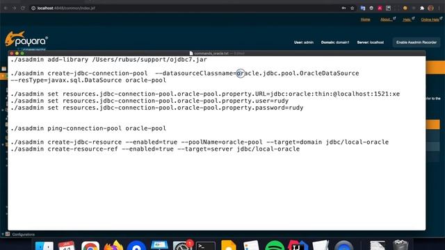 Using Oracle DB with Payara Platform Products смотреть онлайн