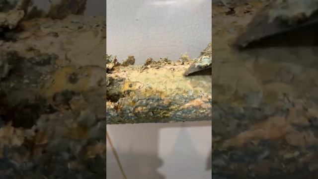 Как снять старую краску с батареи ? смотреть онлайн