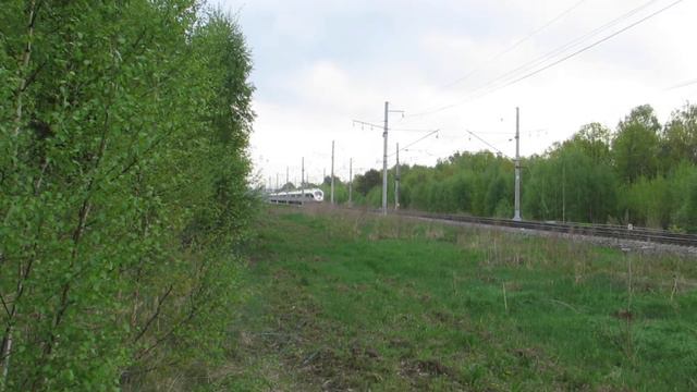 Электропоезд Сапсан на перегоне Ундол-Болдино смотреть онлайн