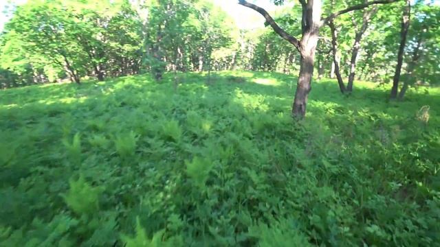 Жестко вылетел через руль