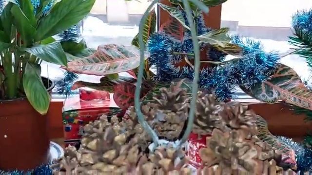 Кормушка из пластиковой канистры/Снегири из фетра/Подвесные вкусняшки для птиц смотреть онлайн