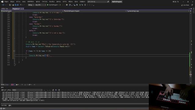 C# 공부하는거 타임랩스로 만든 영상 - 2 смотреть онлайн