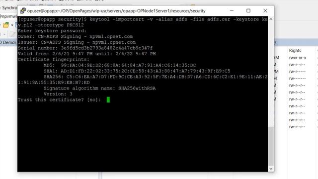 OpenPages 8.2.0.3 SAML SSO Demo смотреть онлайн