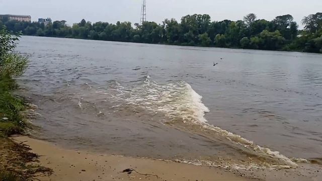 Теплоход "Павел Бажов" прибывает в Тверь. 12.08.2023 смотреть онлайн
