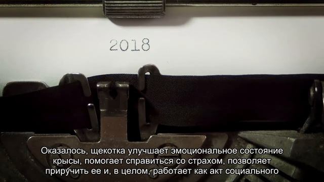 Биологи месяц щекотали крыс ради науки смотреть онлайн
