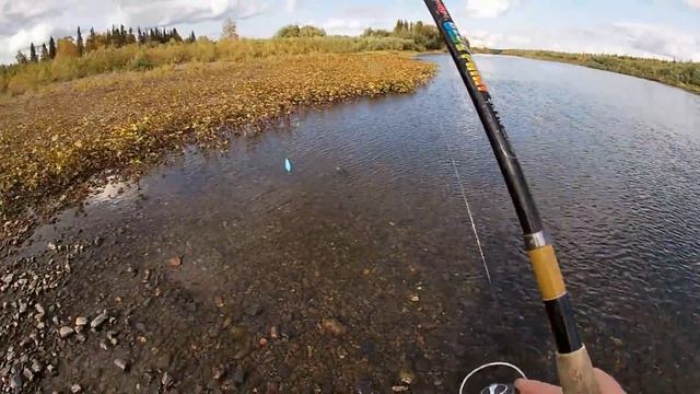 Рыбалка на севере \ Часть 2 \ Эта река полна ХАРИУСА смотреть онлайн