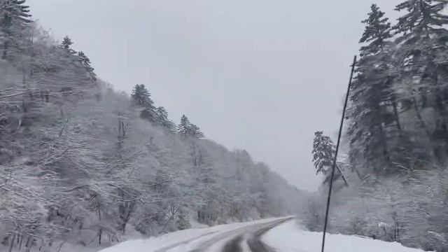 Зимняя сказка Лазо перевал Приморский край 14.02.21 Winter fairy tale Lazo pass Primorsky Krai смотреть онлайн