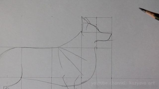 Как нарисовать корги карандашои поэтапно смотреть онлайн