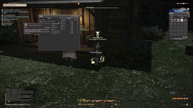 [GUIDE] Goldsaucer - débloquer le chocobo de course смотреть онлайн