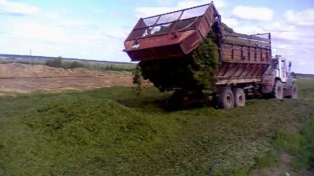 Силосование в нашей Агрофирме 12 лет назад....mp4 смотреть онлайн