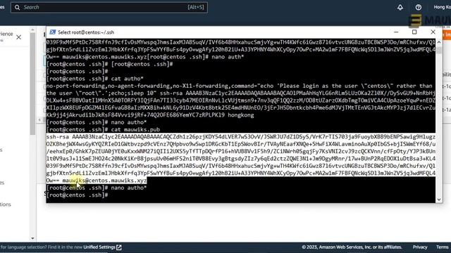 Connect to a Server Using SSH Keys from Windows, Mac, and Linux (+Bonus Tool) смотреть онлайн
