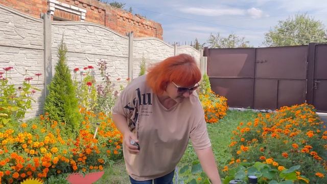Фонари на солнечных батареях с датчиком движения ОБЗОР смотреть онлайн