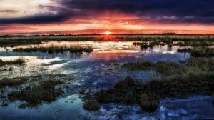 "Космические Правила - Законы мироздания". Аудиокнига