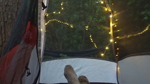 Camp and Forage: Bushcraft Camping and Wild Harvesting Reishi Mushroom, Wood Ear, and Dryad's Saddl смотреть онлайн