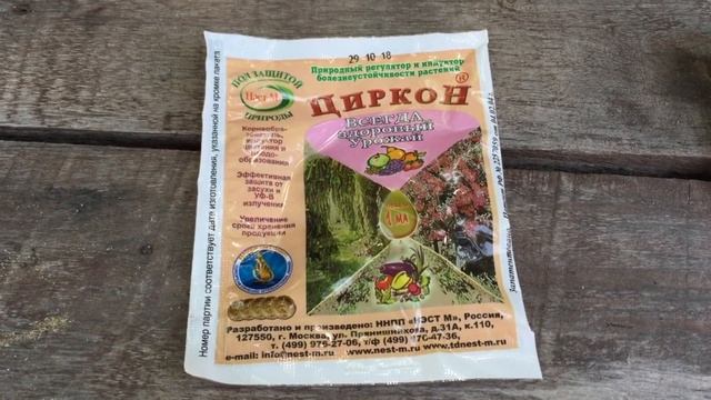 ЖАРА. Спасаем КЛЕМАТИСЫ .Помогаем им легче перенести засуху. смотреть онлайн