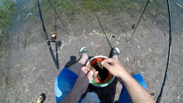 Ловим карася в дикой природе. смотреть онлайн