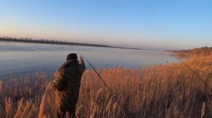 Отличная Утрянка Голавль в Марте на Реке Волге Рыбалка Ловля на Донки Закидушки