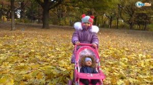 ✔ Кукла Беби Борн и Ярослава на прогулке в парке / Baby Born Doll and Yaroslava goes for a walk ✔