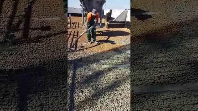 Пролив керамзита молочком. смотреть онлайн