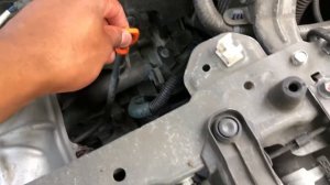 HOW TO CHECK OIL IN HONDA CRV