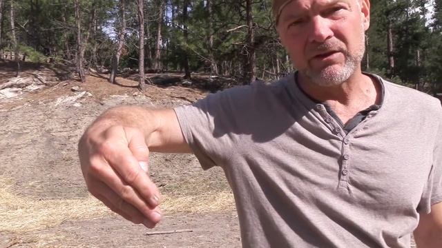 How to Measure Time Without a Watch | Wilderness Survival | Survivorman Les Stroud смотреть онлайн