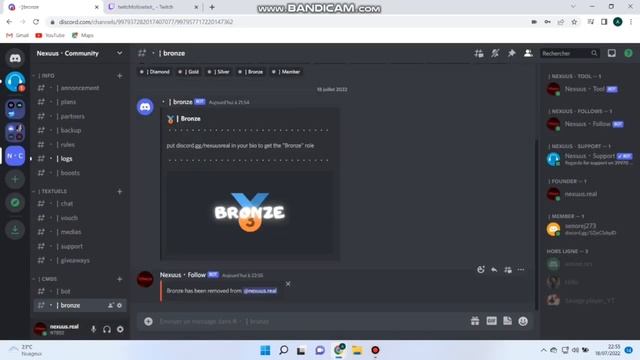 Free Best Twitch Bot Follower (Discord server) (2022) (July) смотреть онлайн