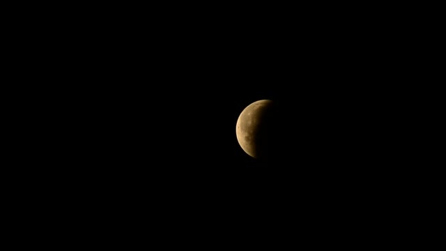 DSC_1177 смотреть онлайн