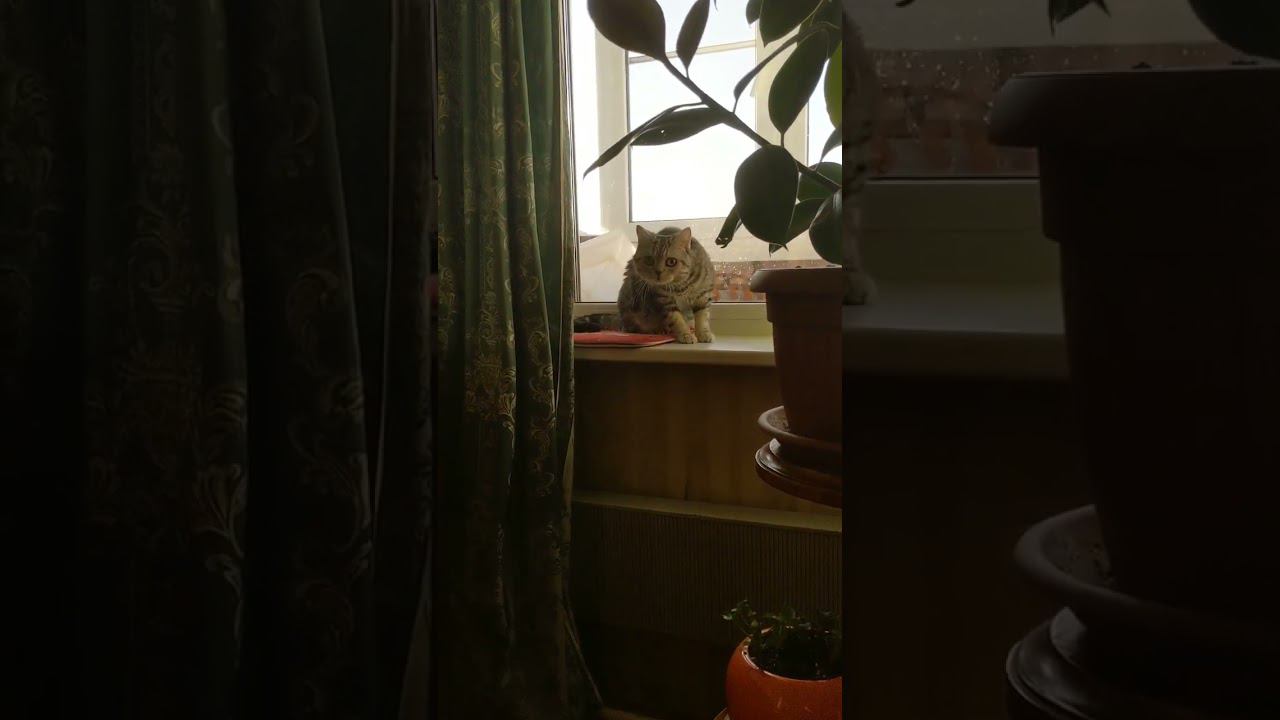 24 октября 2022 г. смотреть онлайн