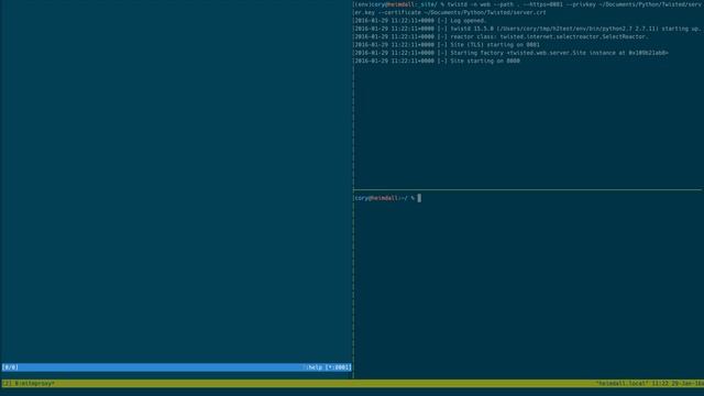 Demonstration of Python HTTP/2 using Hyper-h2 with Twisted and mitmproxy. смотреть онлайн