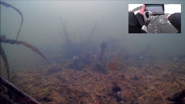 Наконец-то дождались!!! Первый лёд 2022-2023. Зимняя рыбалка. смотреть онлайн