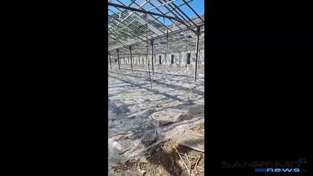Danni grandinata serra - Ventimiglia, 1 agosto 2021 смотреть онлайн